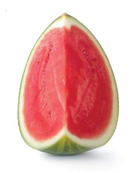 Melon d'eau JUMBO
