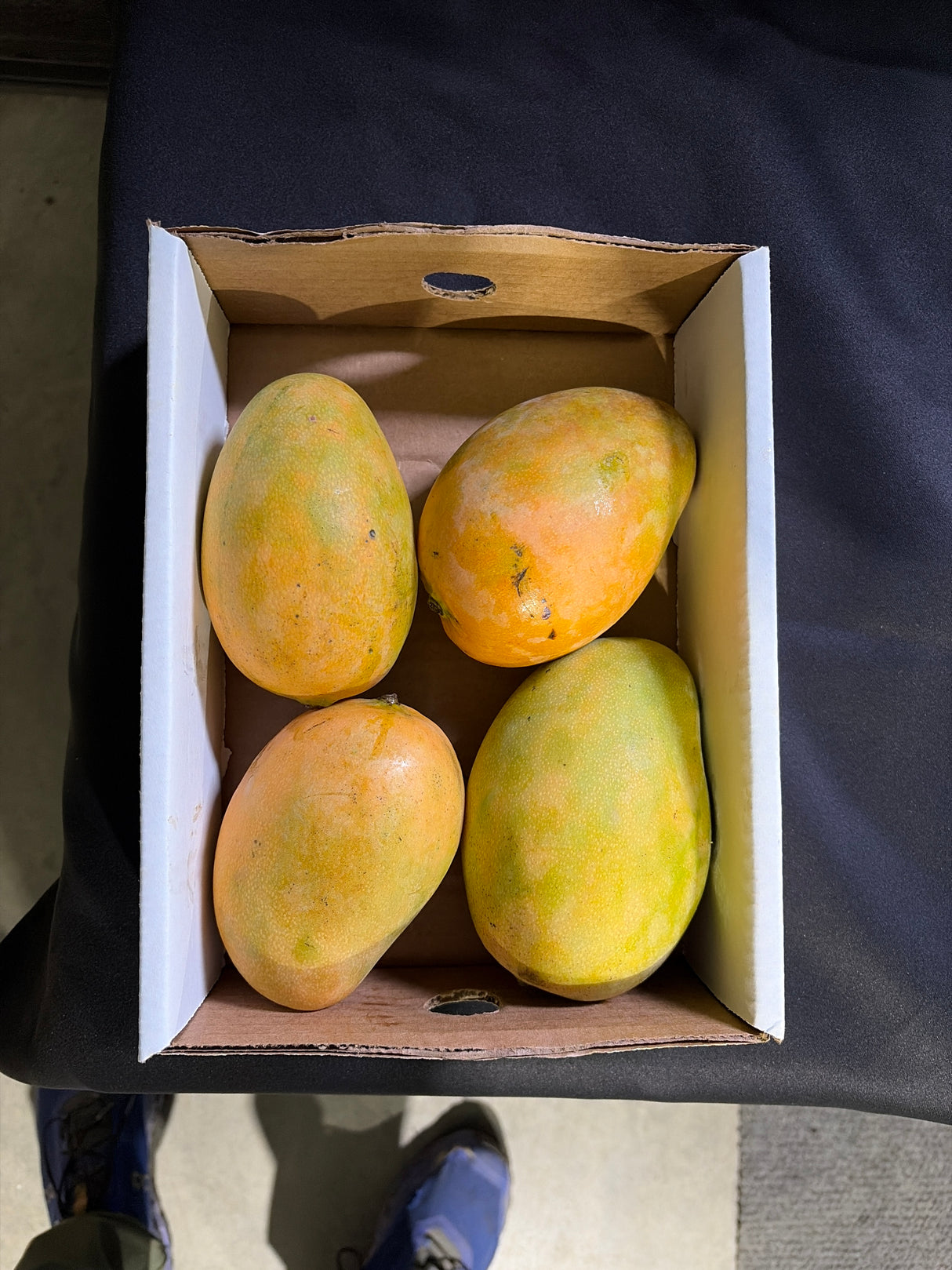 Mangue Crimson