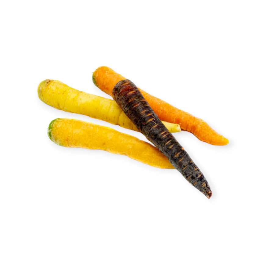 Carottes nantaises mini Couleurs - 1lb