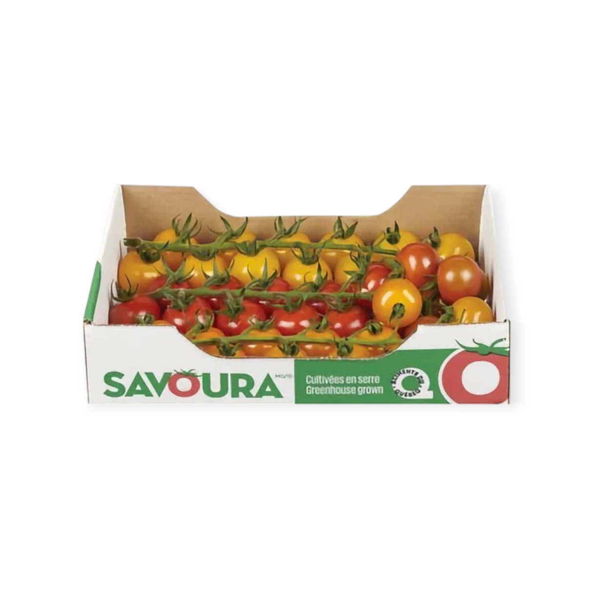 Tomates cerises couleur - Chopine