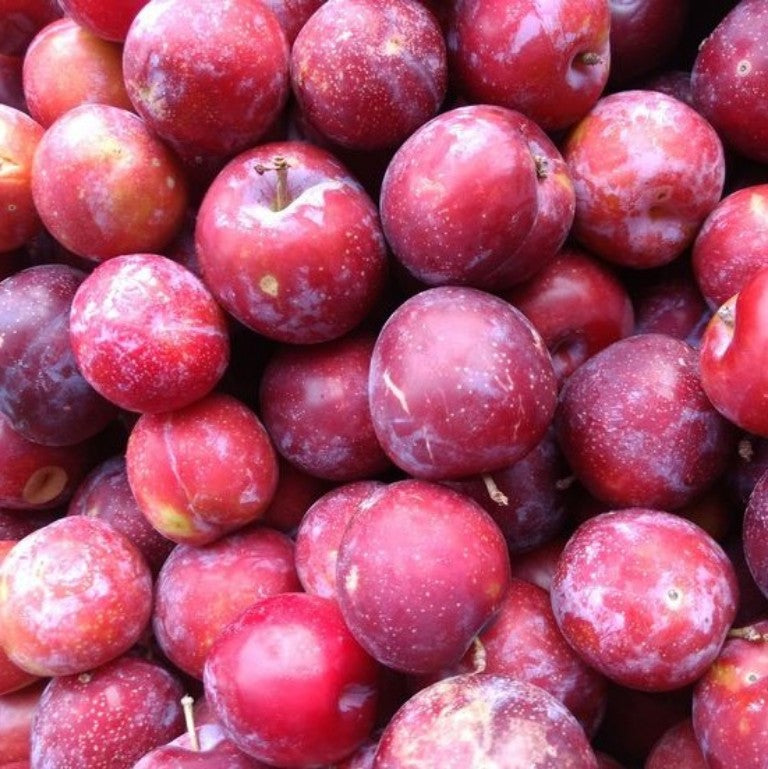 Prunes-Cerises - Sac