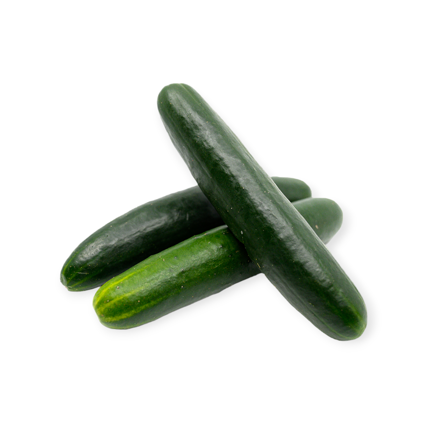 Concombre de champ