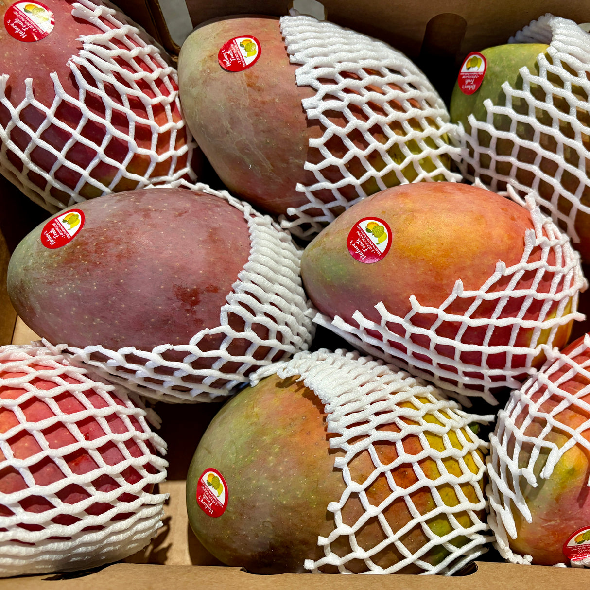 Mangue Crimson