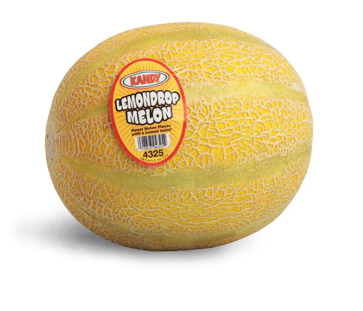 Melon citron - Petit