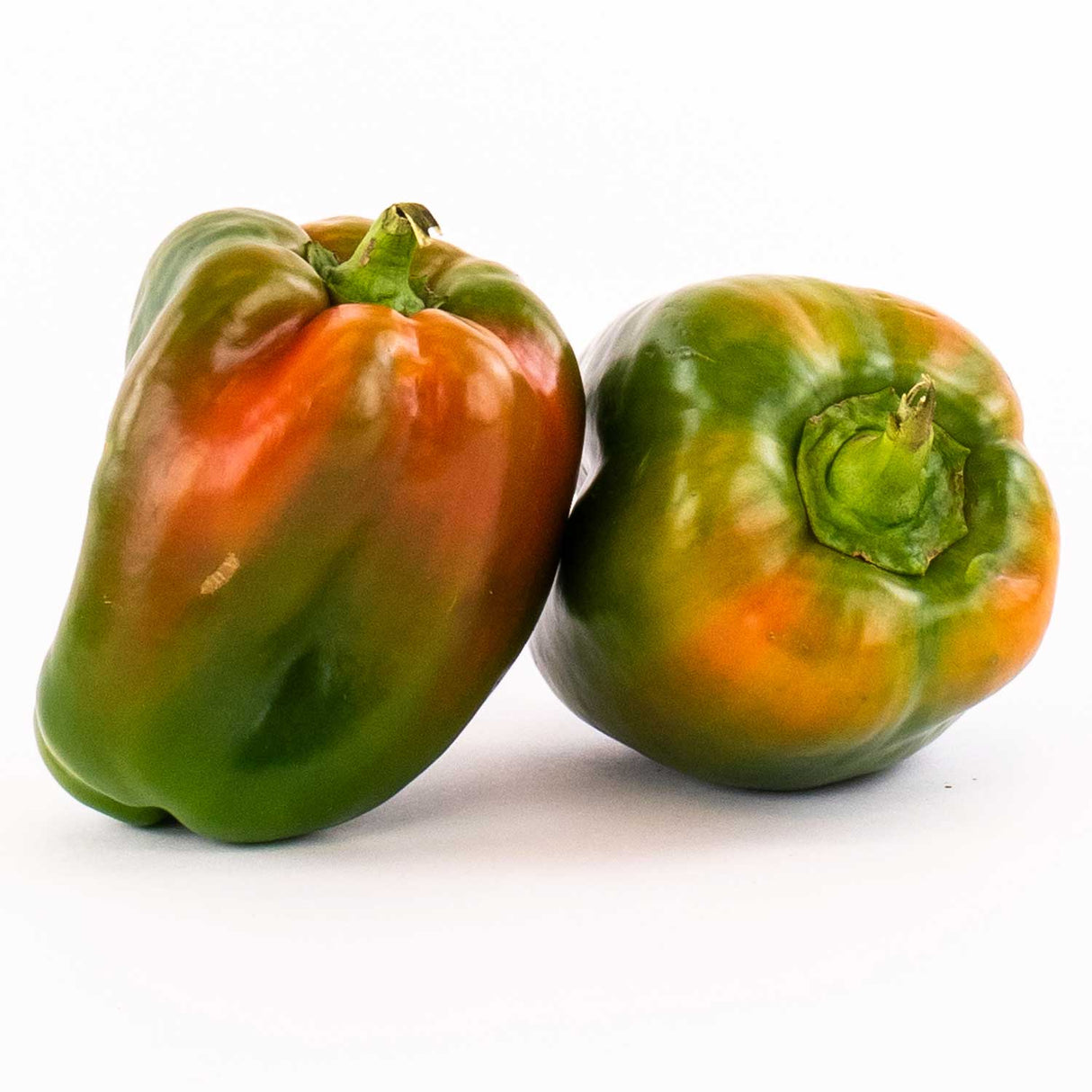 Poivron vert *Leger teinté rouge*