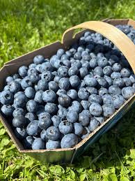 Bleuets locaux - Panier 500ml
