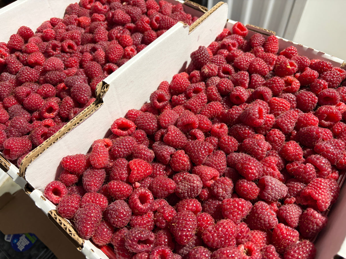 Framboises - CRATE COMPLET