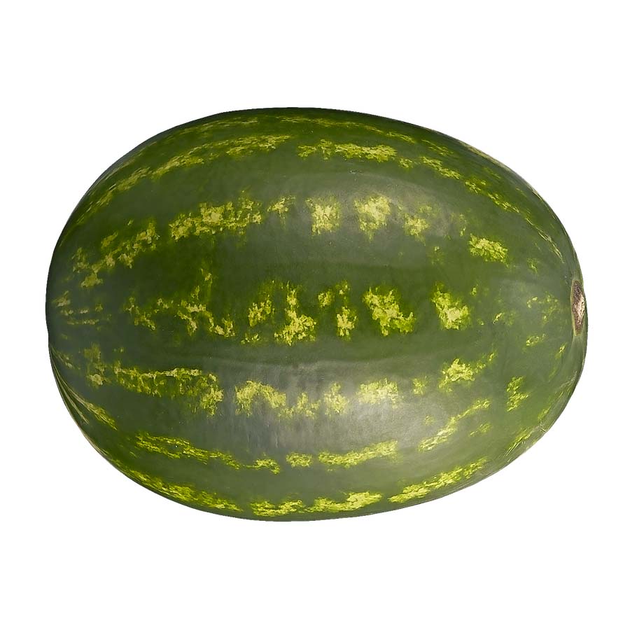 Melon d'eau JUMBO