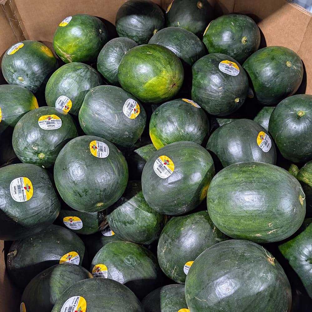 Melon d'eau JUMBO