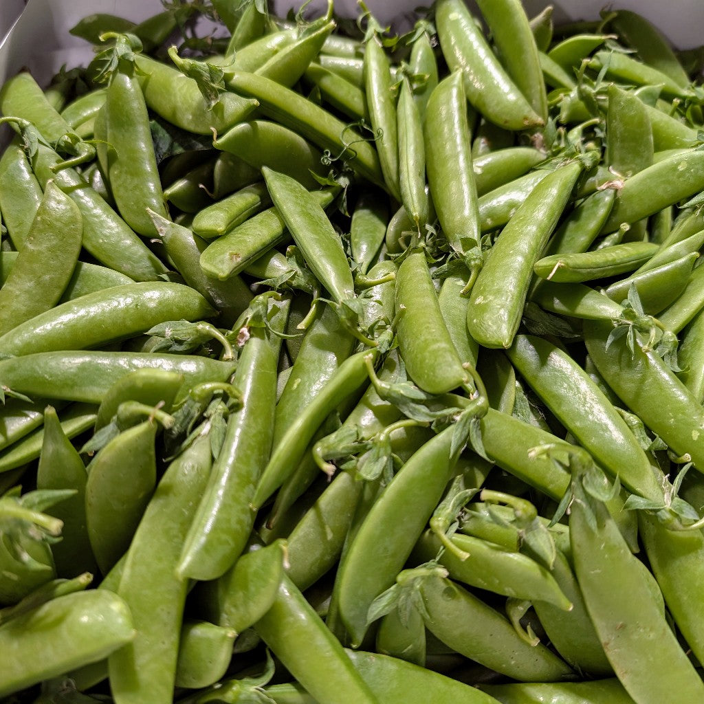 Pois sucrés