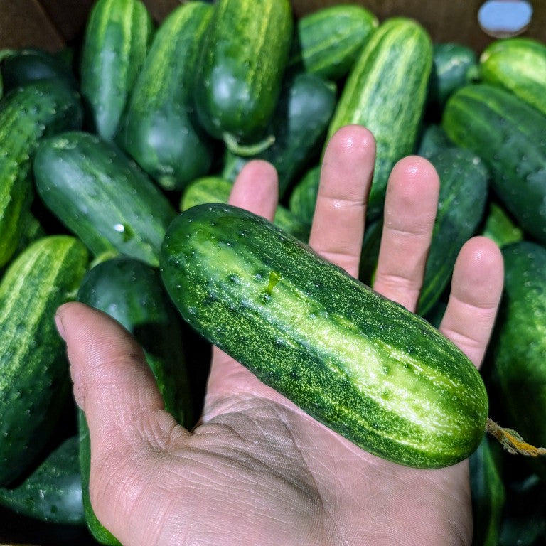 Cornichons