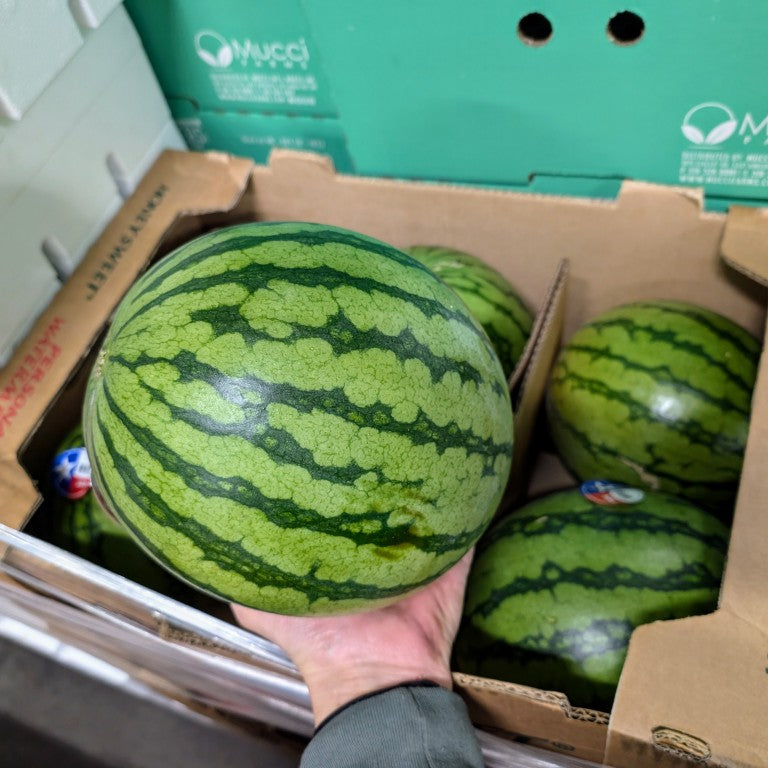 Melon d'eau JUMBO
