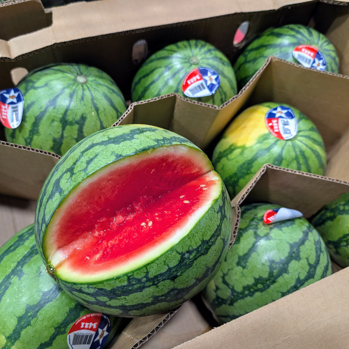 Melon d'eau JUMBO