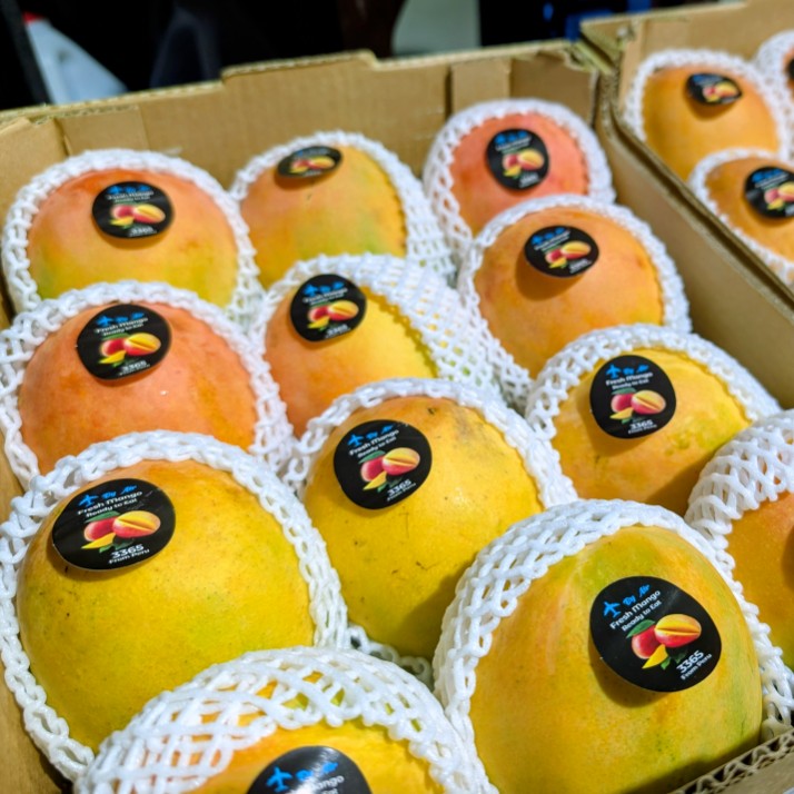 Mangue PALMER - Caisse complète