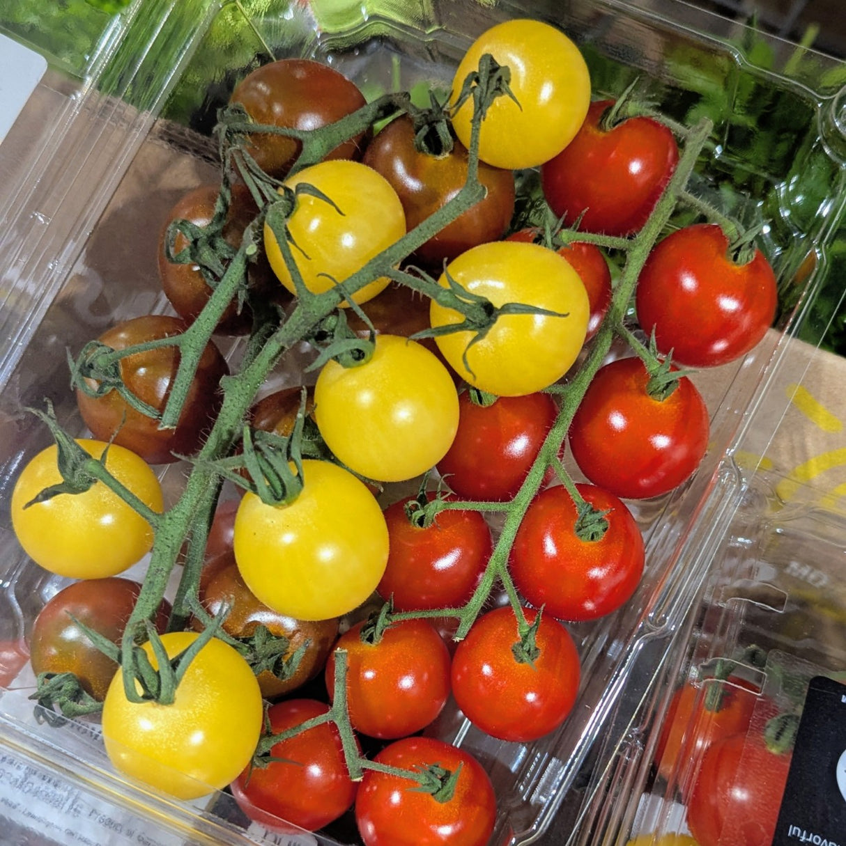 Tomates Cerises sur vigne - 340g