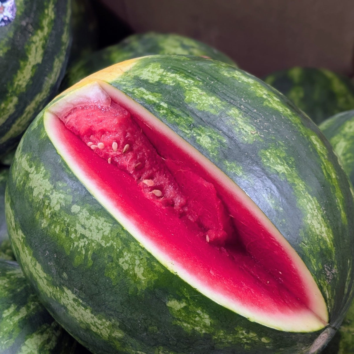 Melon d'eau JUMBO