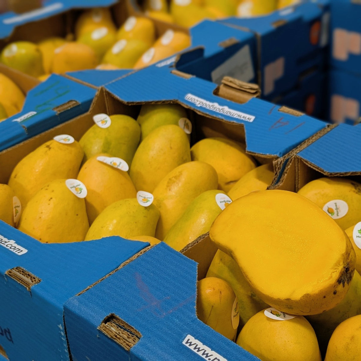 Mangue Ataulfo - Caisse