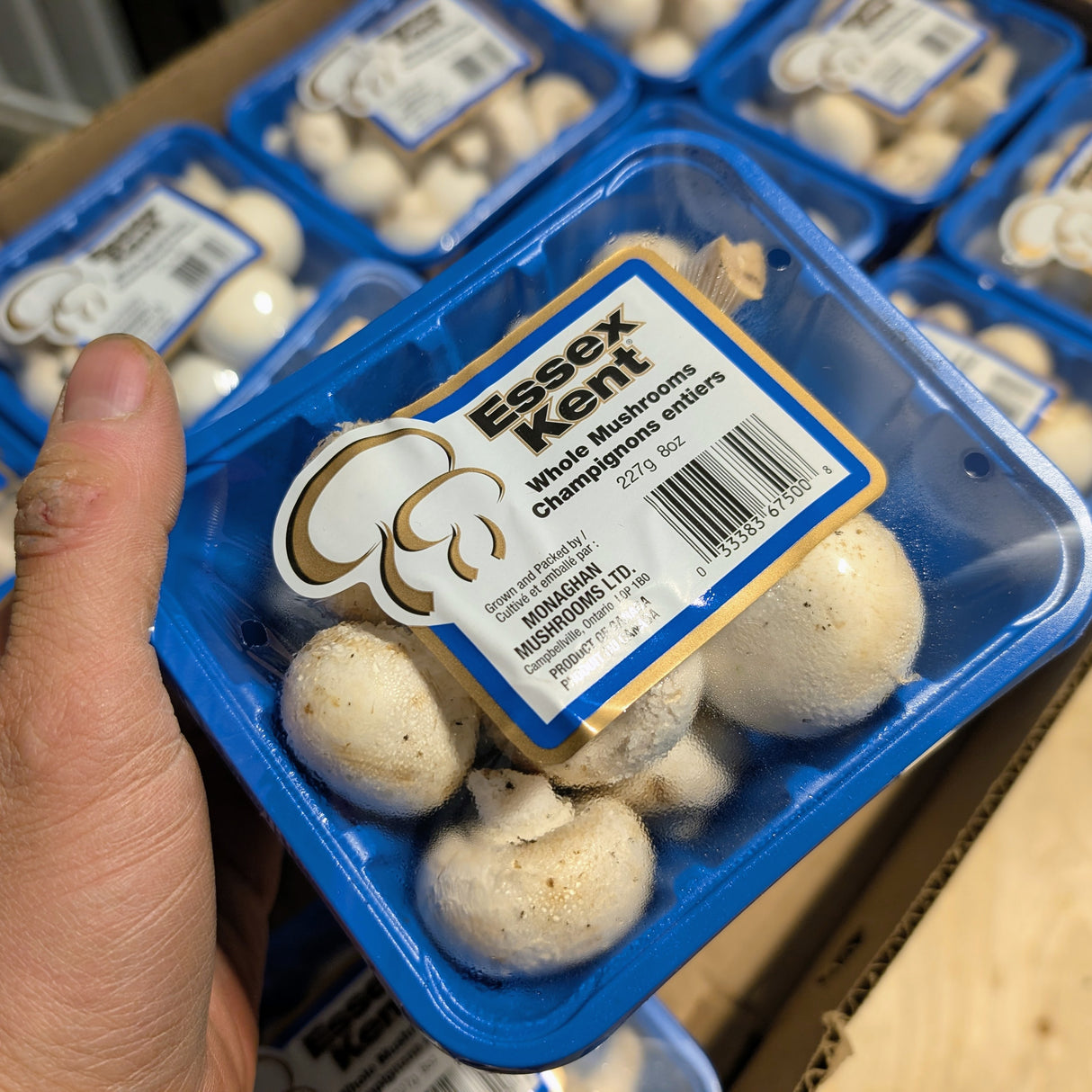 Champignons 8oz *#2*