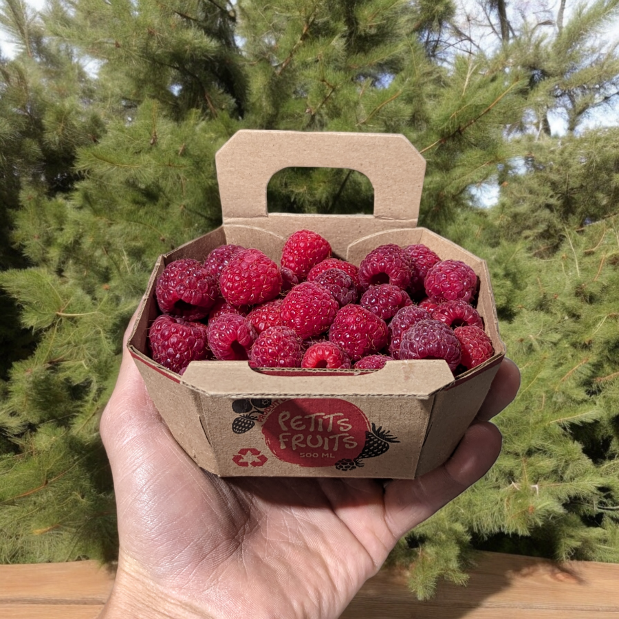 Framboises du Québec - 500ml