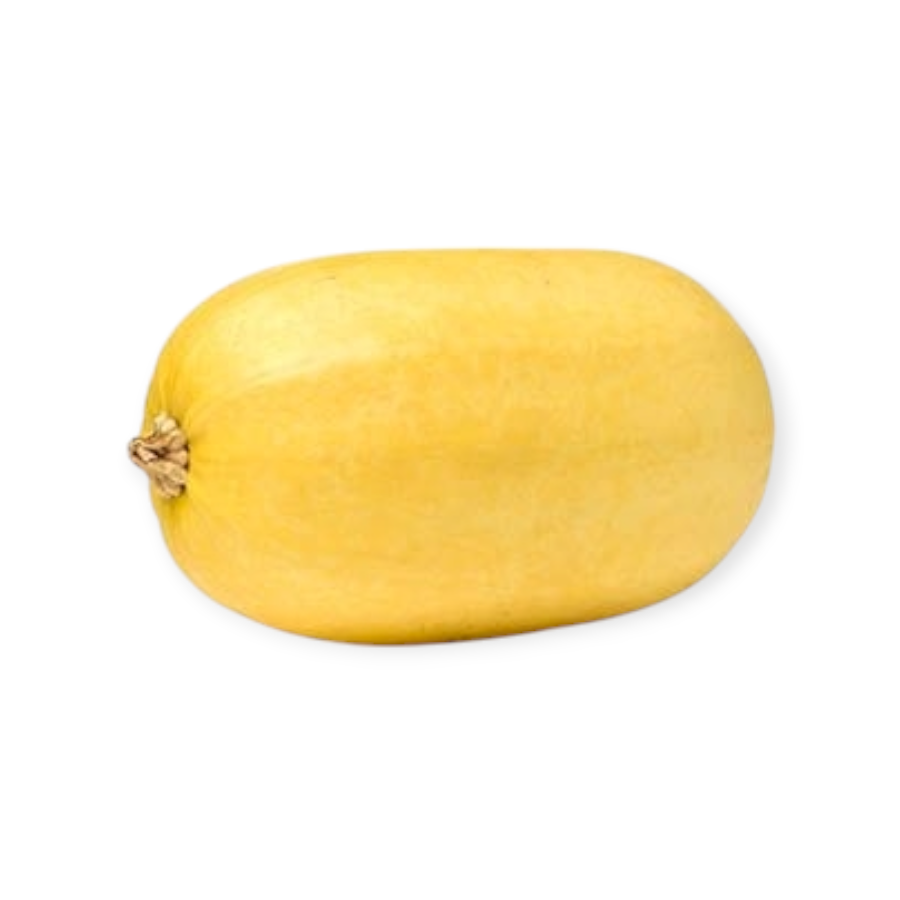 Courge Spaghetti Moyenne