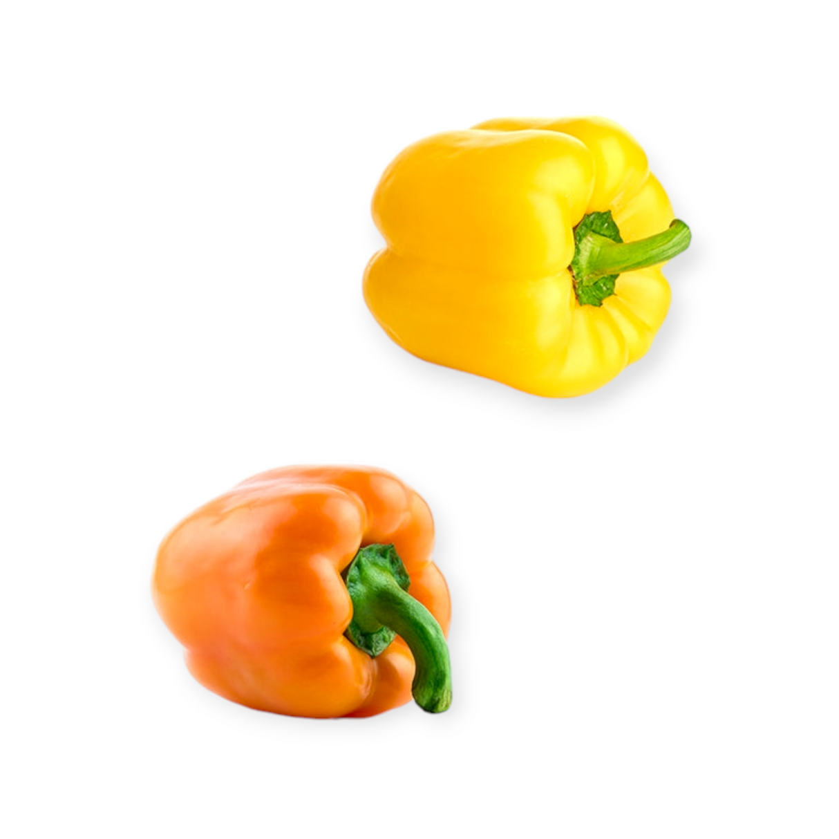 Poivron COULEUR - TRIO (3)