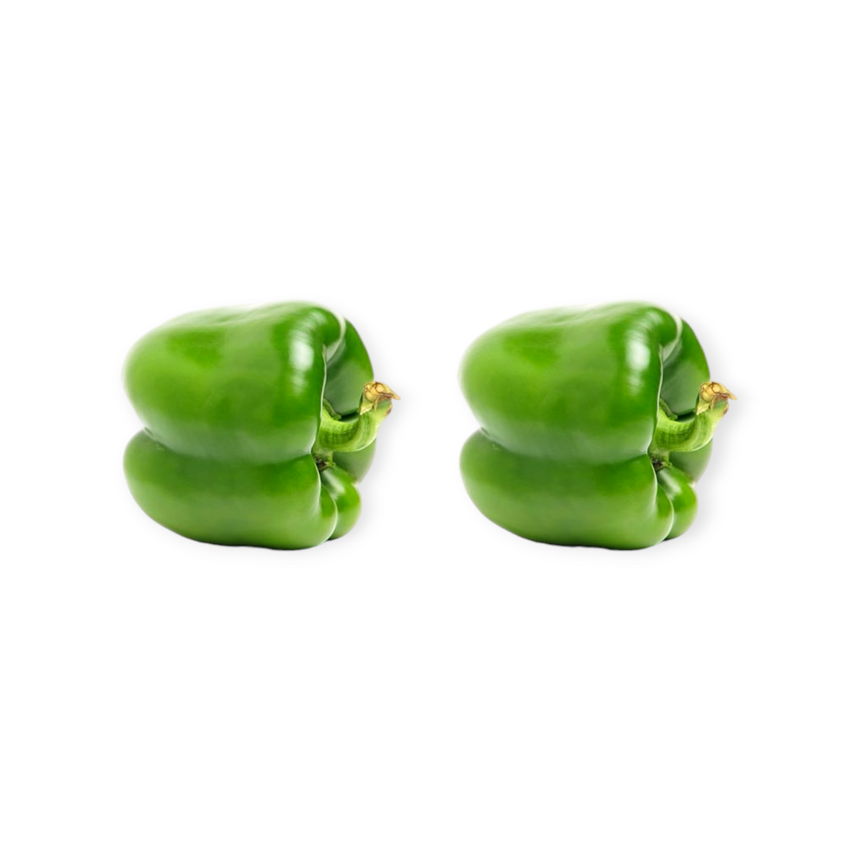 Poivron vert Gros