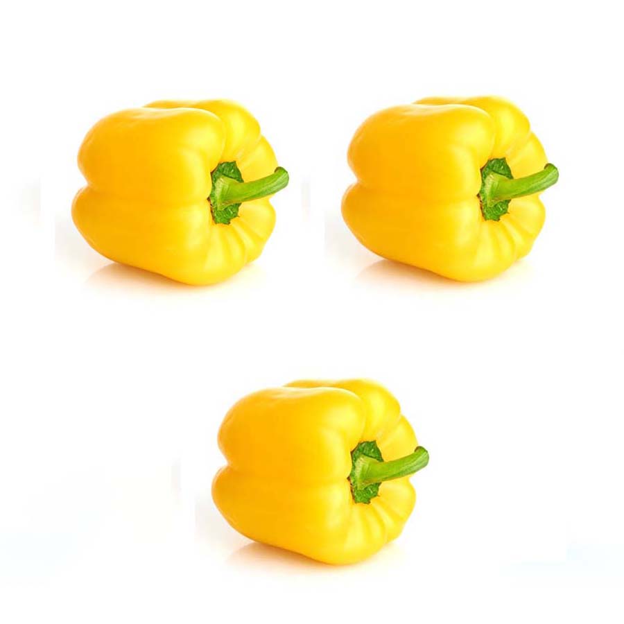 Poivron COULEUR - TRIO (3)