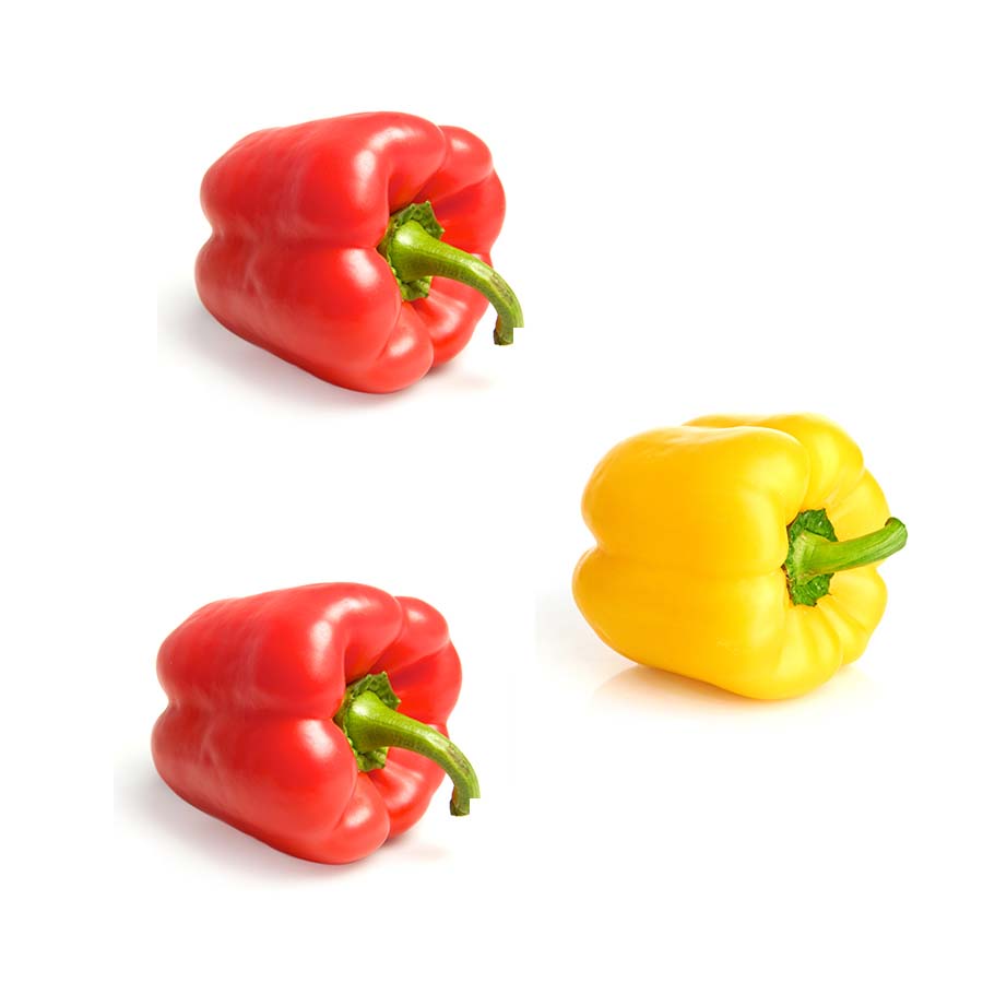 Poivron COULEUR - TRIO (3)