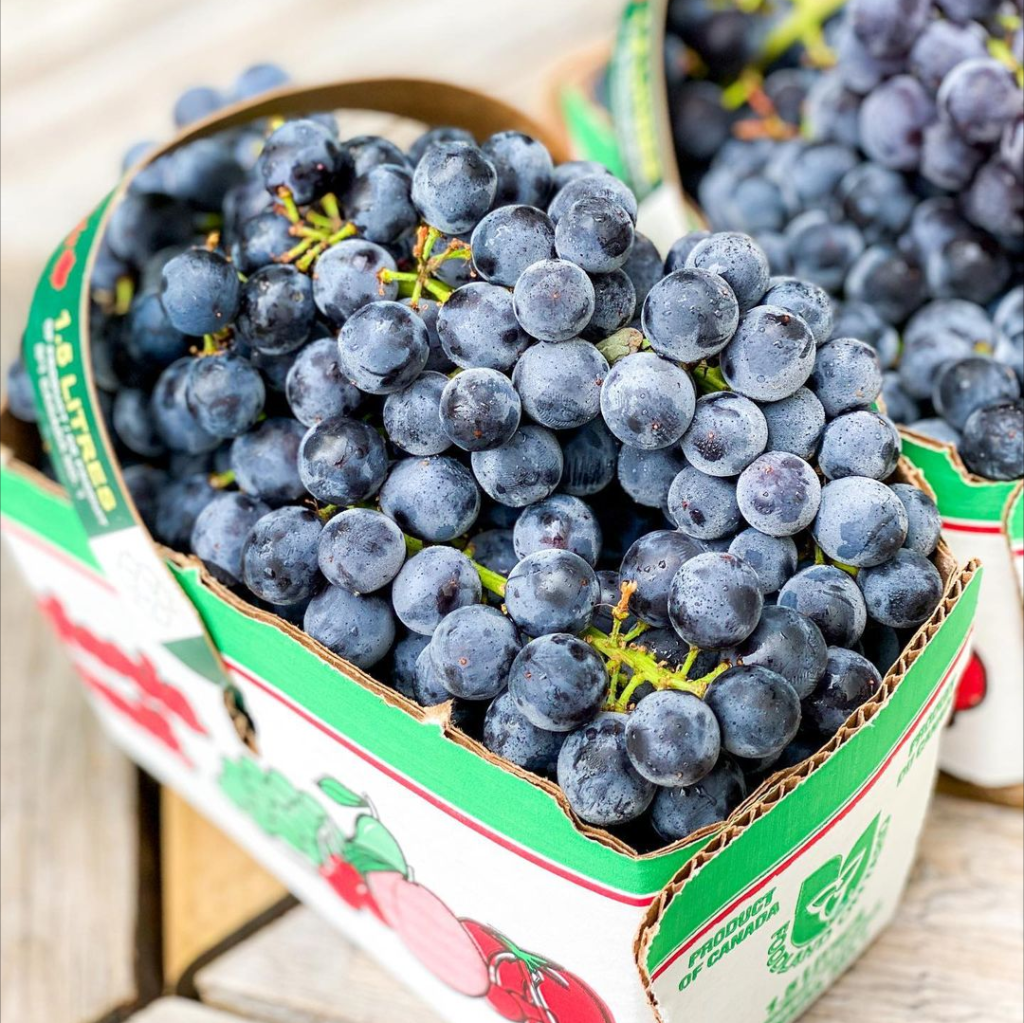 Raisins bleus - Panier 1L