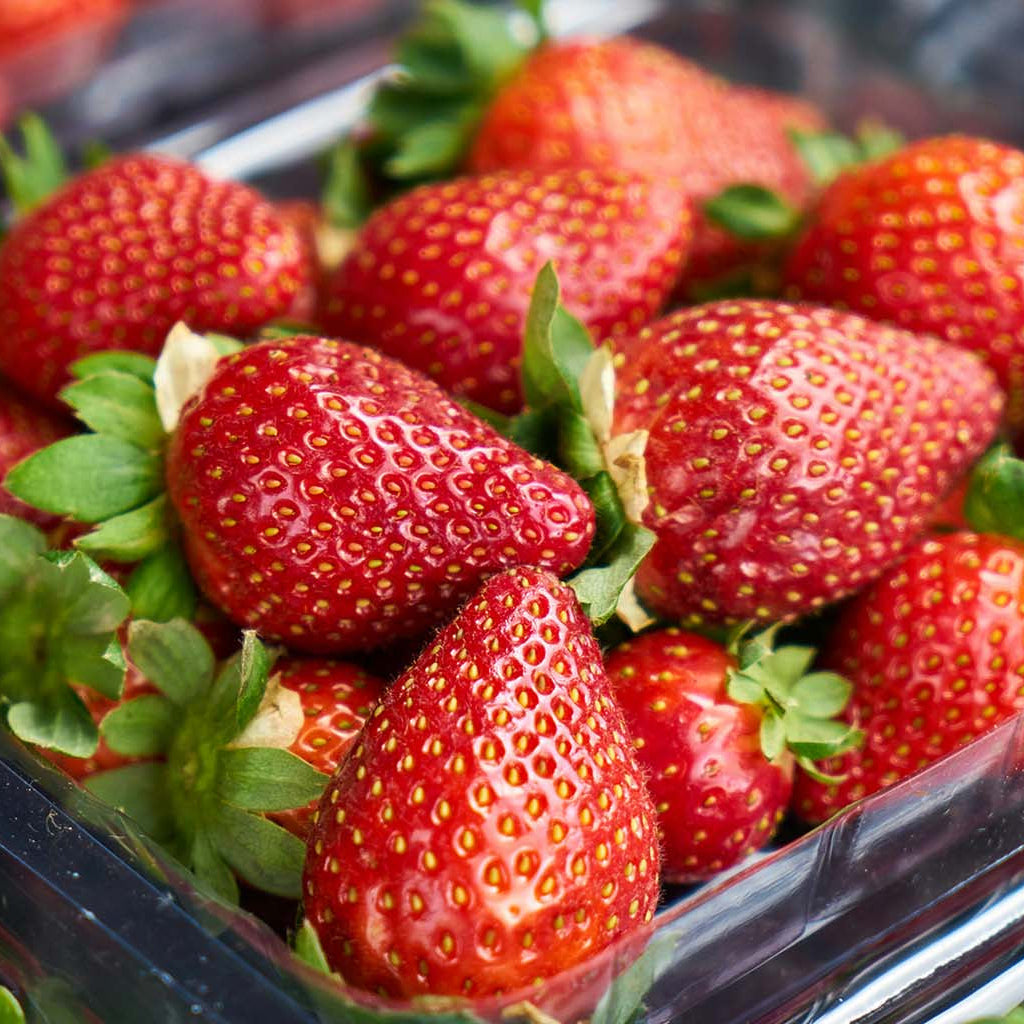 Fraises de serre - 340g