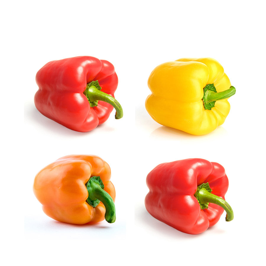 Poivron COULEUR - TRIO (3)
