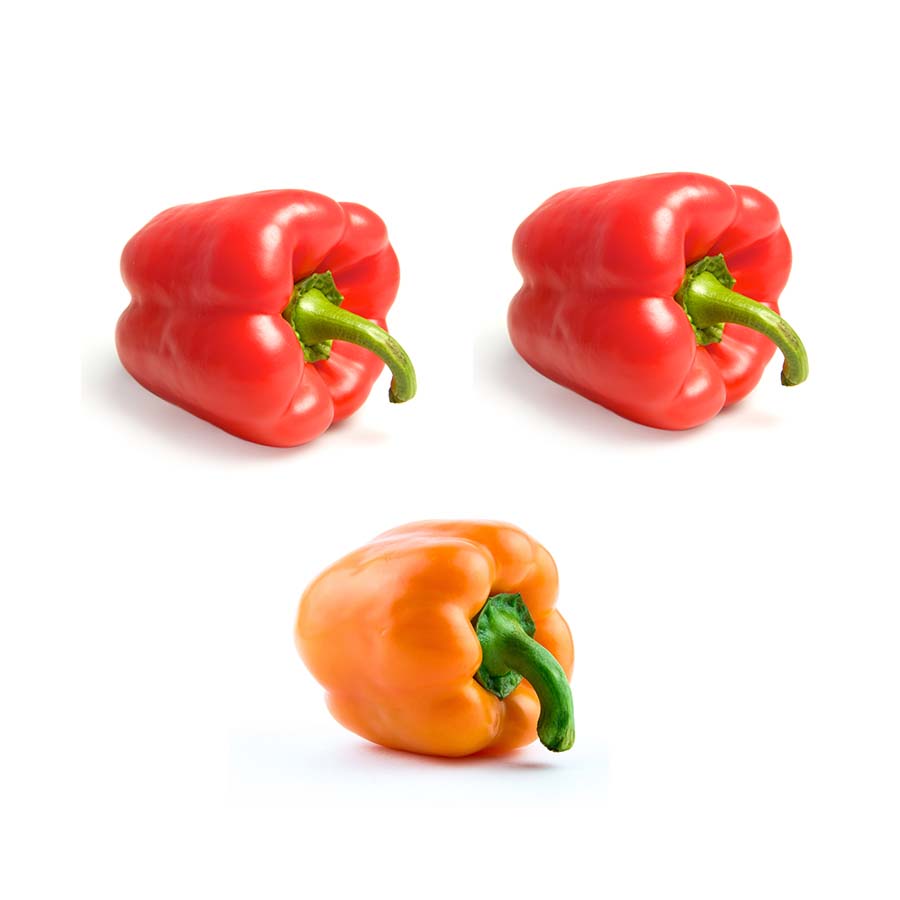 Poivron COULEUR - TRIO (3)