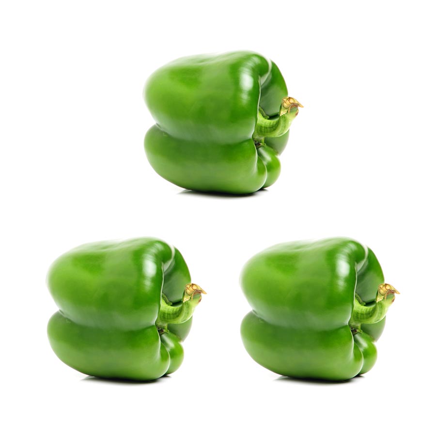 Poivron vert Gros
