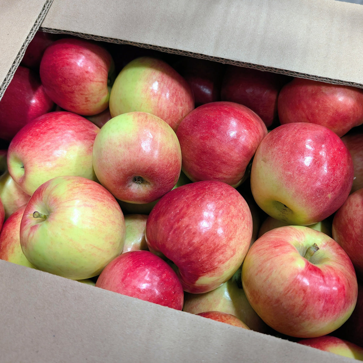 Pomme AMBROSIA