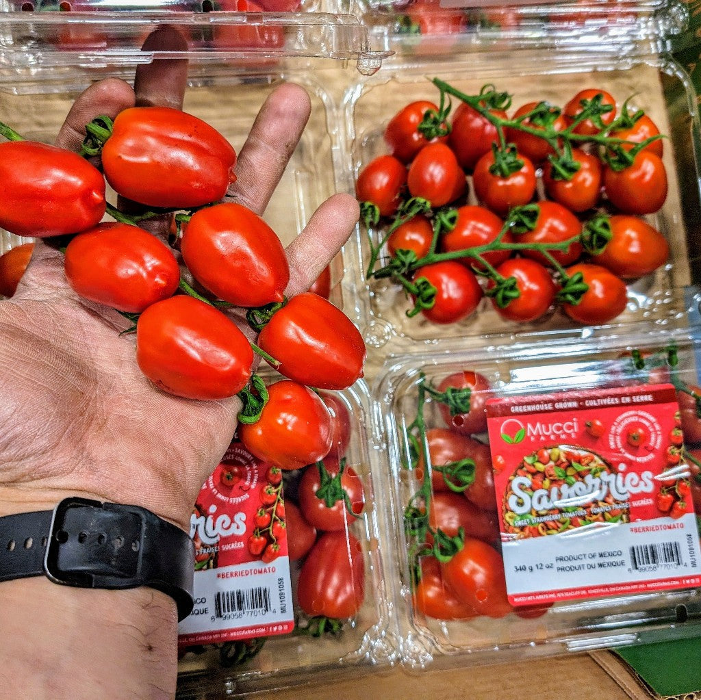 Tomates Cerises sur vigne - 340g