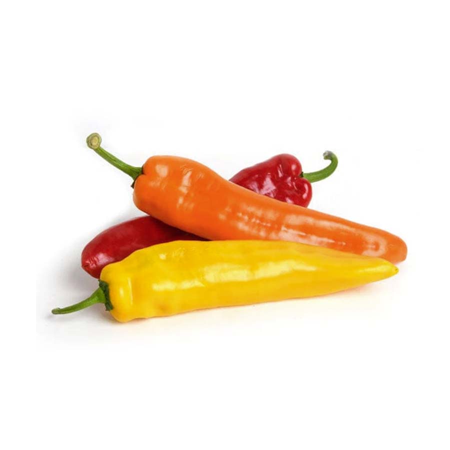 Poivron COULEUR - TRIO (3)
