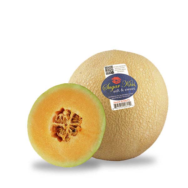 Melon Santa Claus - Moyen
