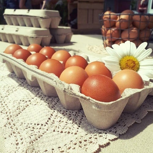 Oeufs bruns fermiers locaux (12)
