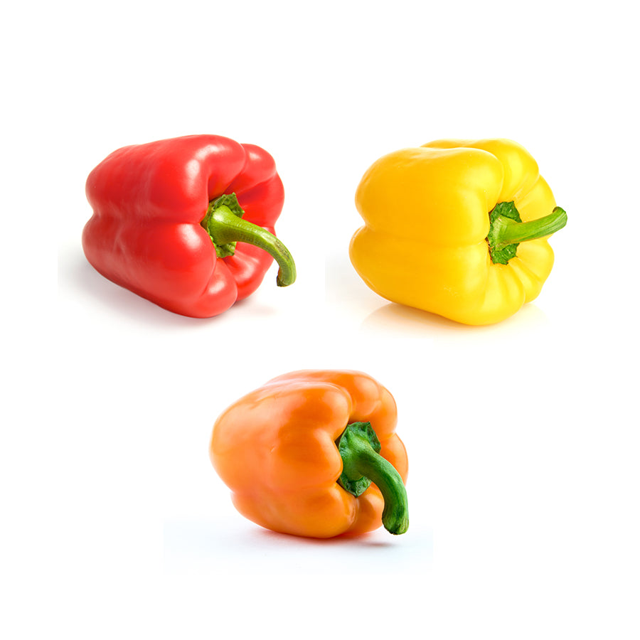 Poivron COULEUR - TRIO (3)