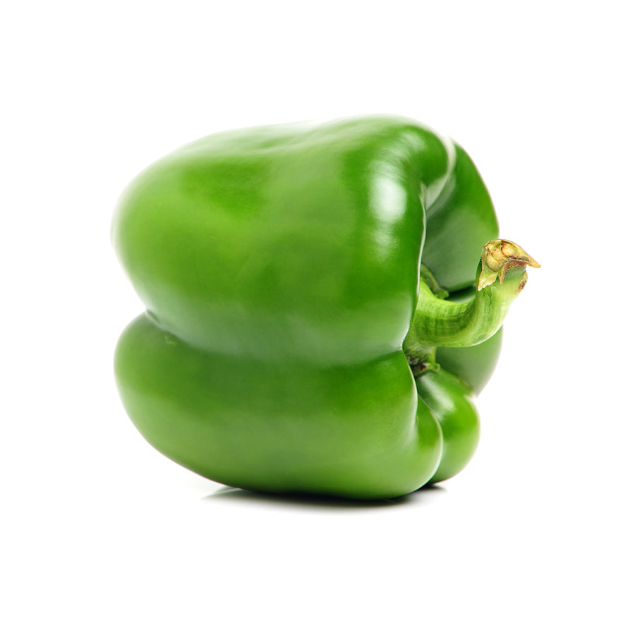 Poivron vert Gros