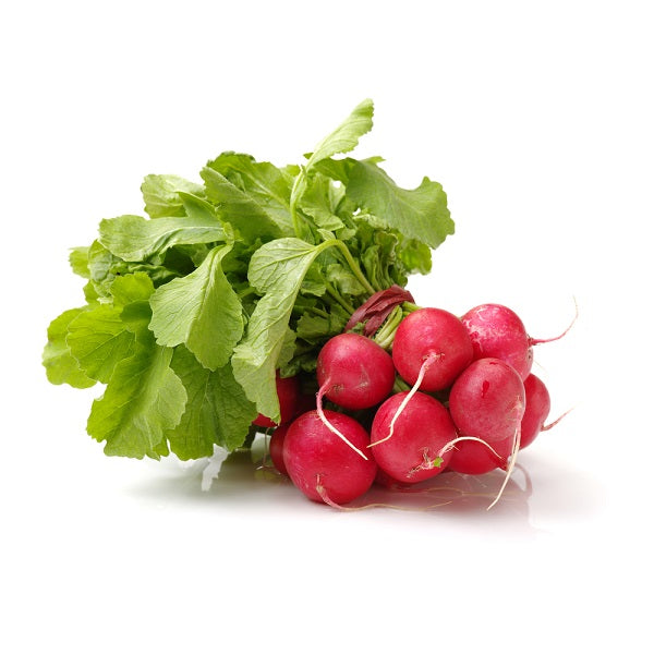 Radis ROUGES Feuilles