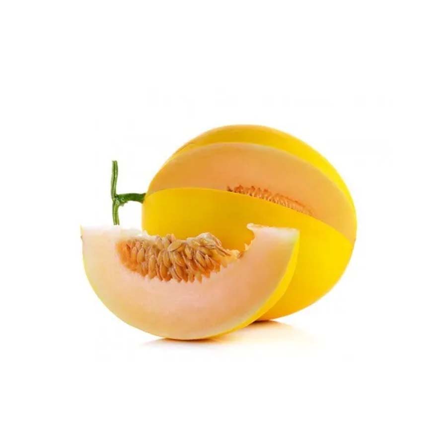 Melon Canary - Moyen