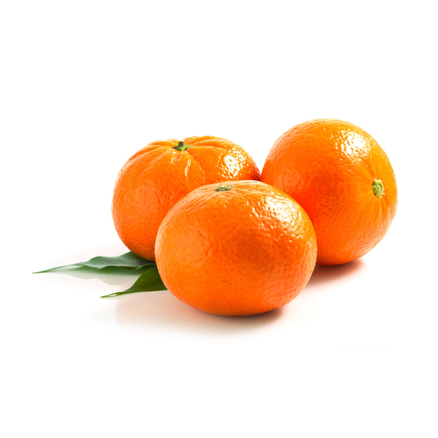 Clémentine TANGO GOLD