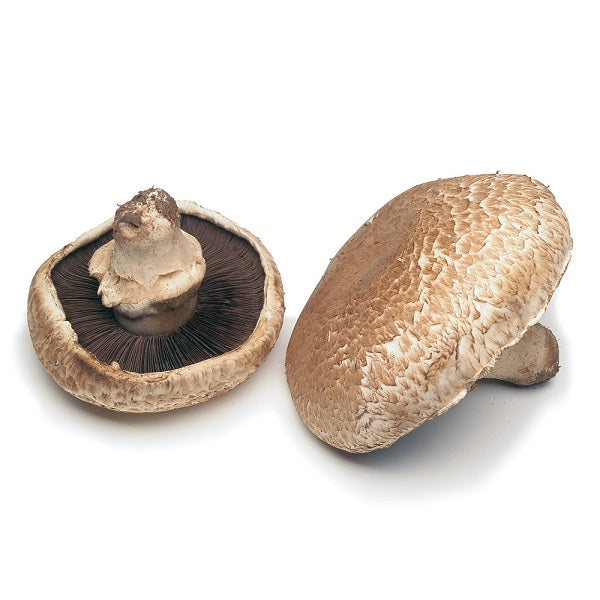 Champignons Portobello - Caisse