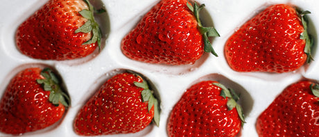 Recommandations du marchand - Semaine de 14 août