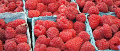 Recommandations du Marchand - 9 juillet