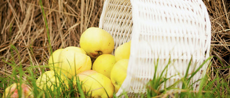 Recommandations du Marchand - 10 septembre