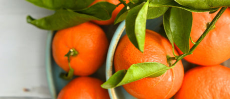 Recommandations du Marchand - 26 mars