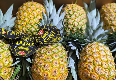 Recommandations du Marchand - 17 décembre