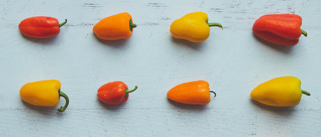 Recommandations du Marchand - 3 septembre